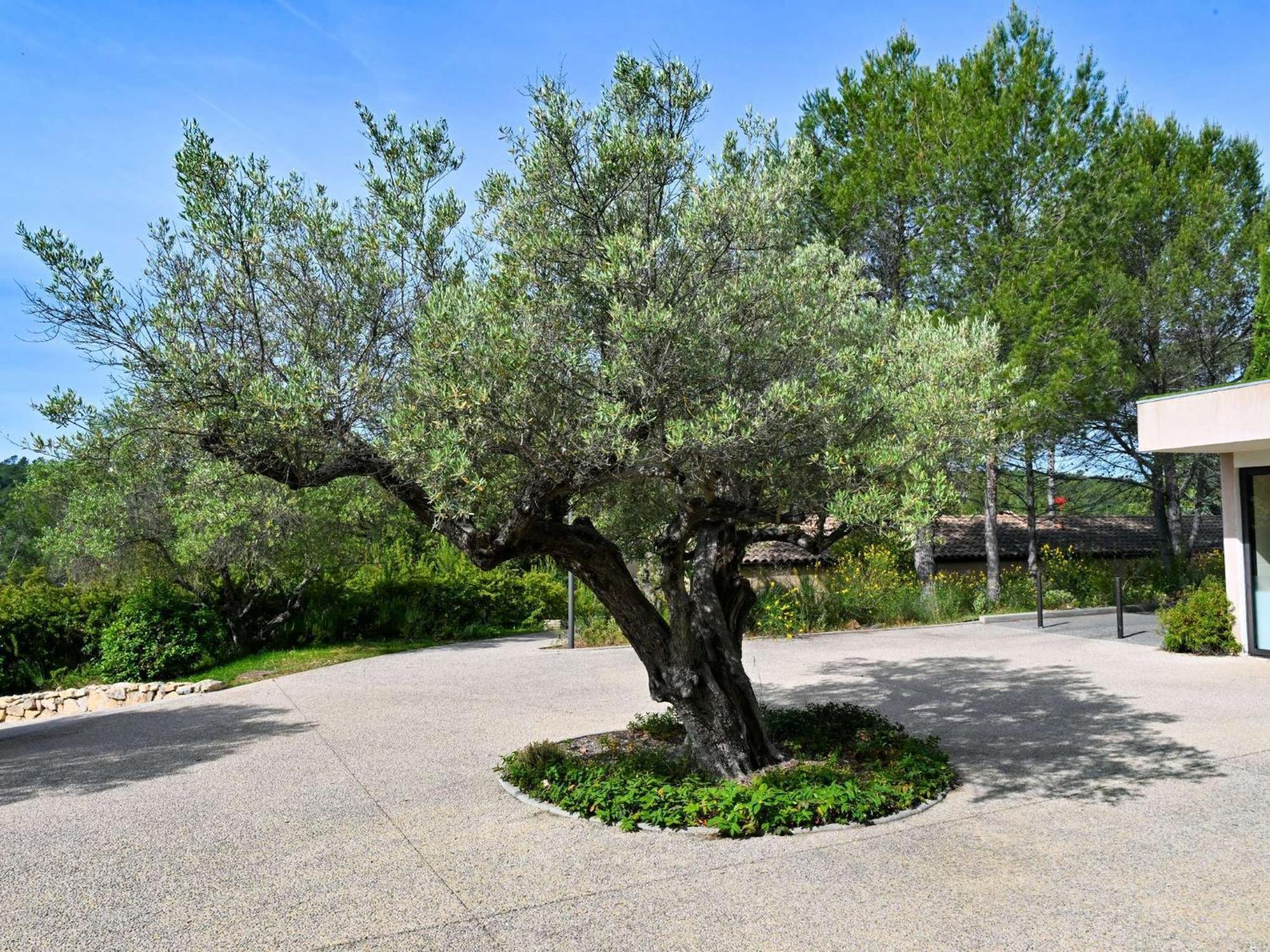 Mercure Brignoles Golf De Barbaroux & Spa Luaran gambar